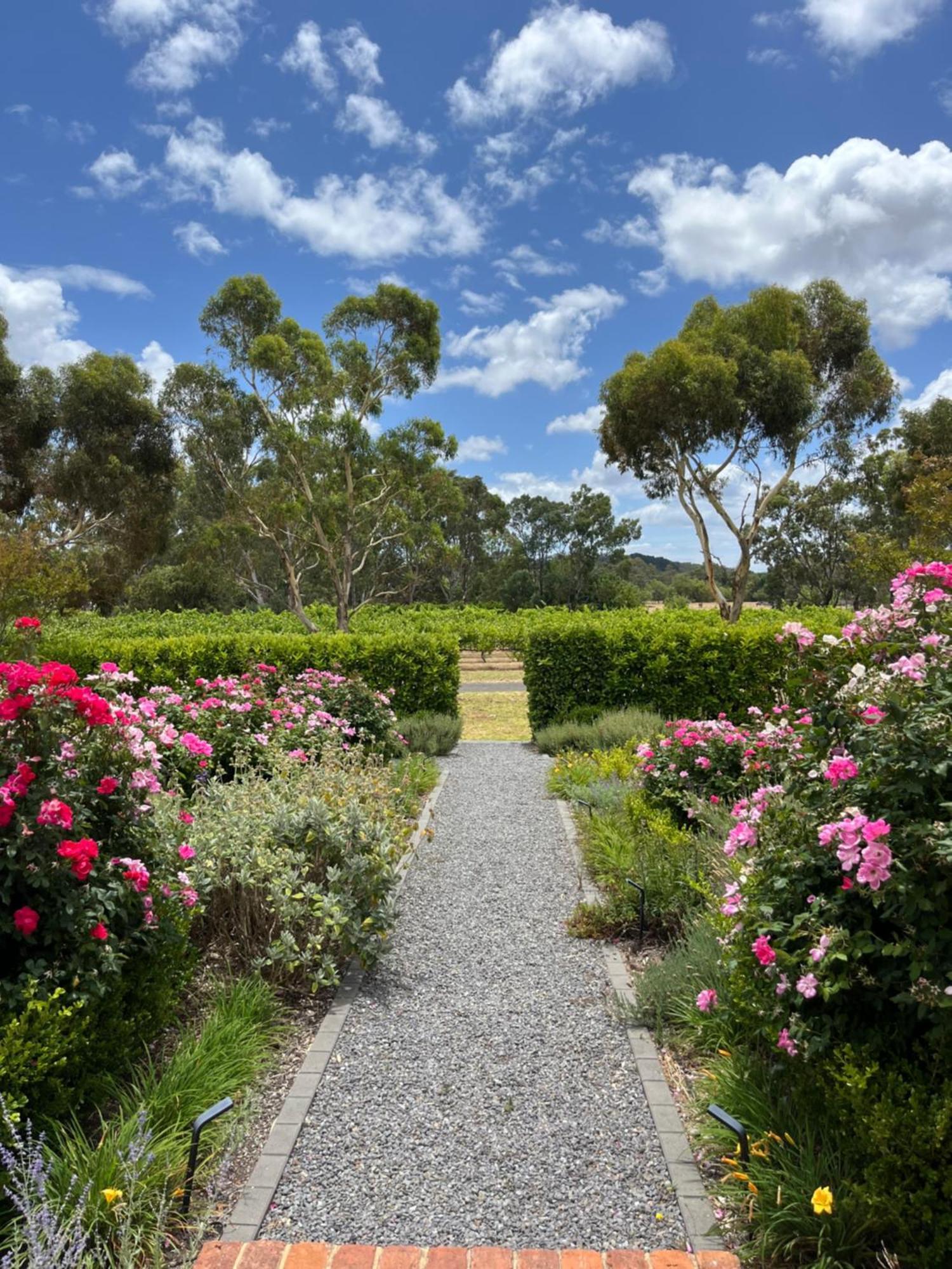 Oxenberry Farm Mclaren Vale Exterior foto
