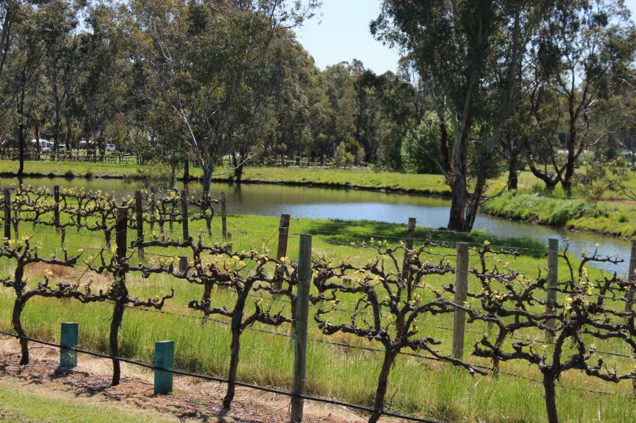 Oxenberry Farm Mclaren Vale Exterior foto